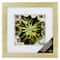 8 Pack: Champagne Wall Frame with Double Mat, Gallery by Studio Décor®